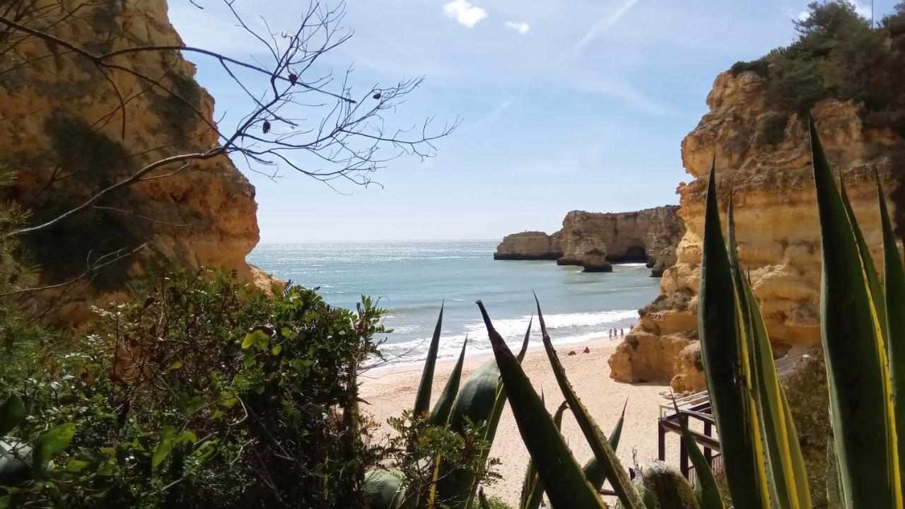 Albufeira Beach Apartment Dış mekan fotoğraf